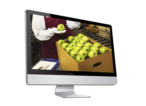 Addetti-al-settore-alimentare_S802.png